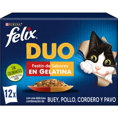 Felix Fantastic Duo Carne em Gelatina saqueta – Multipack 12